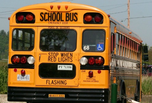 rear end of a school bus